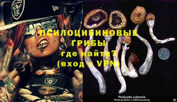 2c-b Бронницы