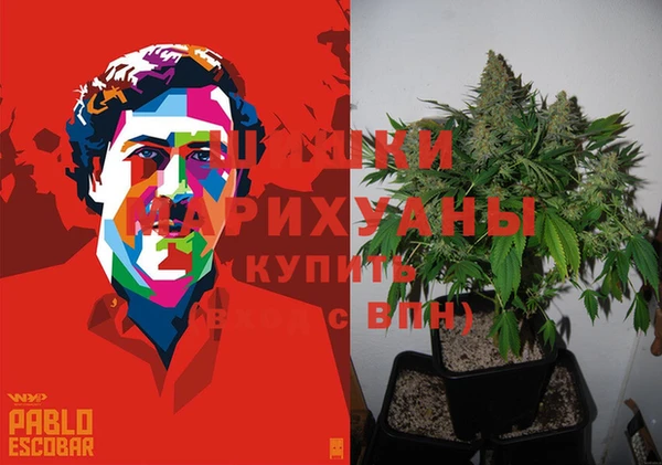 apvp Горно-Алтайск
